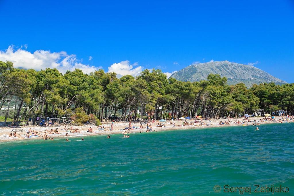 Guesthouse Civovic Bar Dış mekan fotoğraf